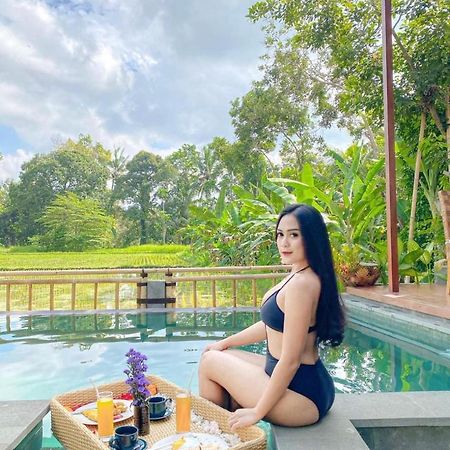 Nirankara Ubud Villa Kültér fotó