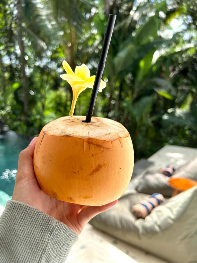 Nirankara Ubud Villa Kültér fotó